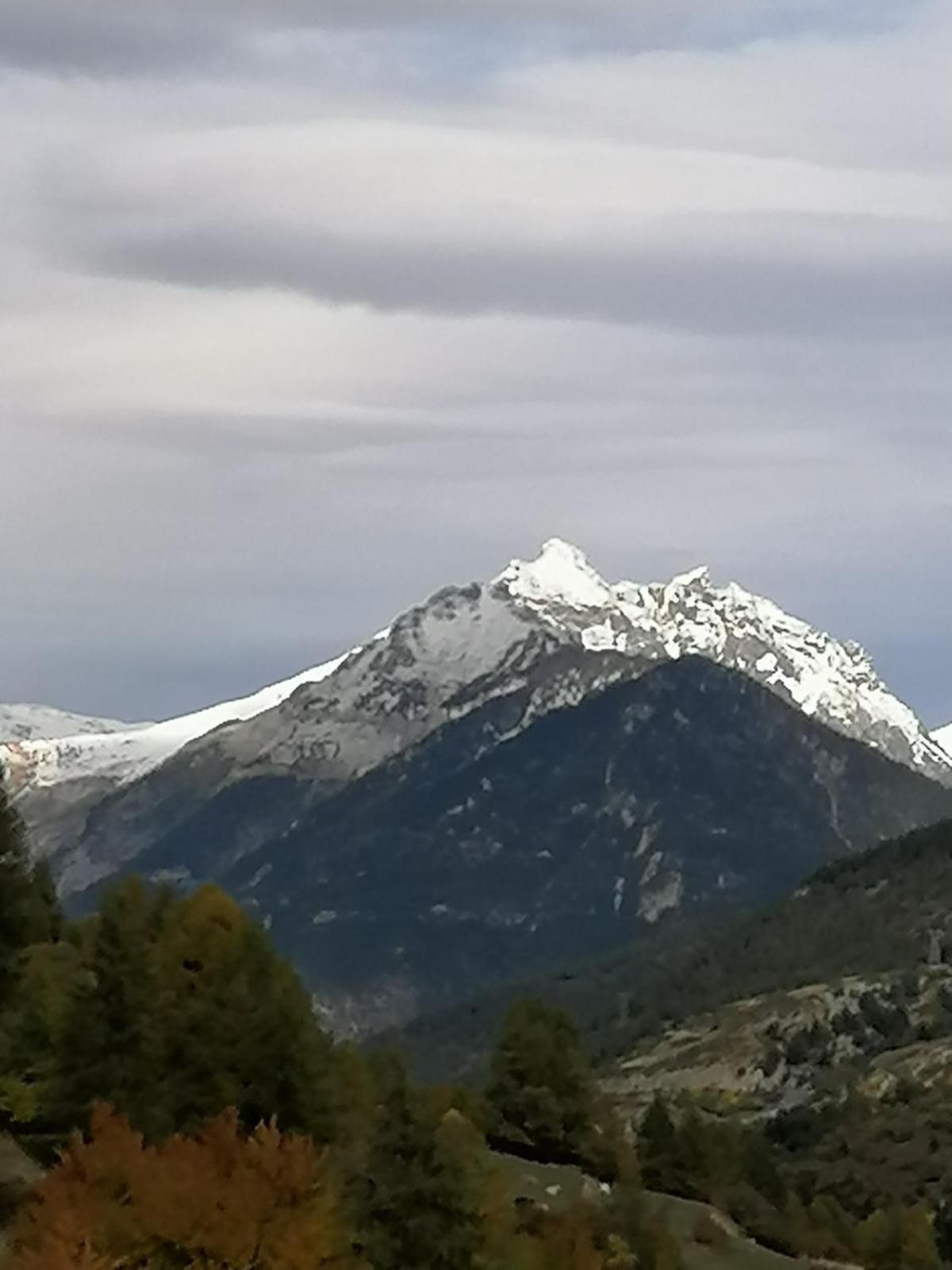 Le D'andrea Chalet *
